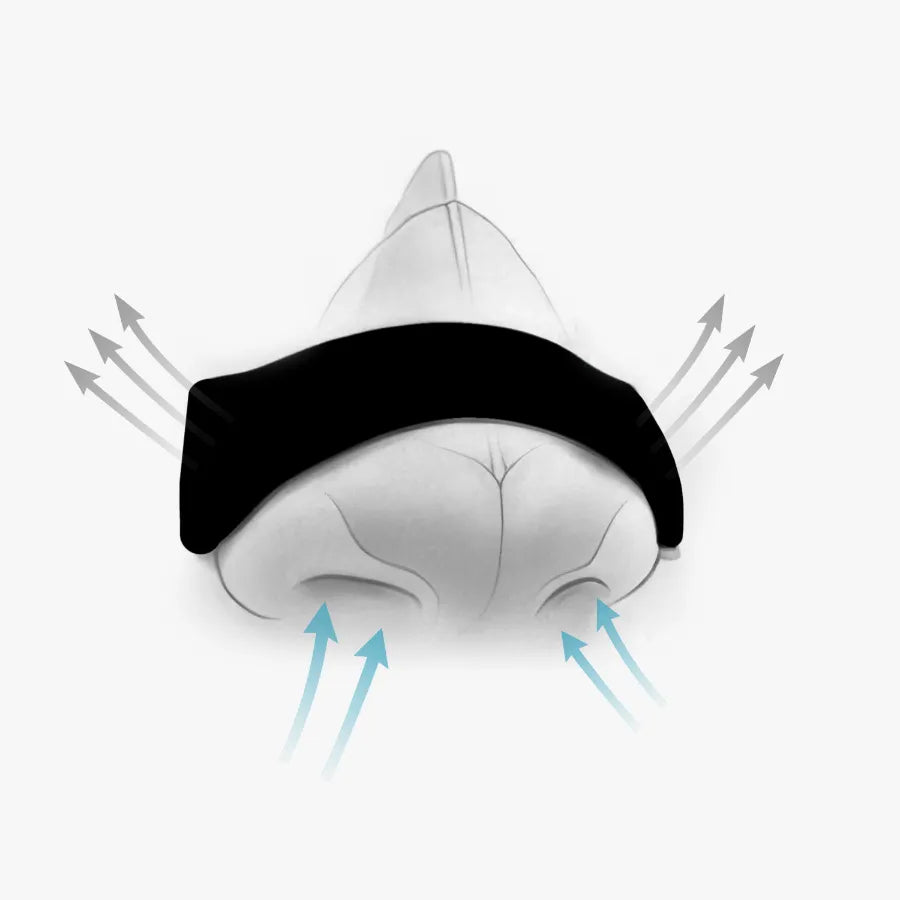 Hostage Nose Strips Subscription